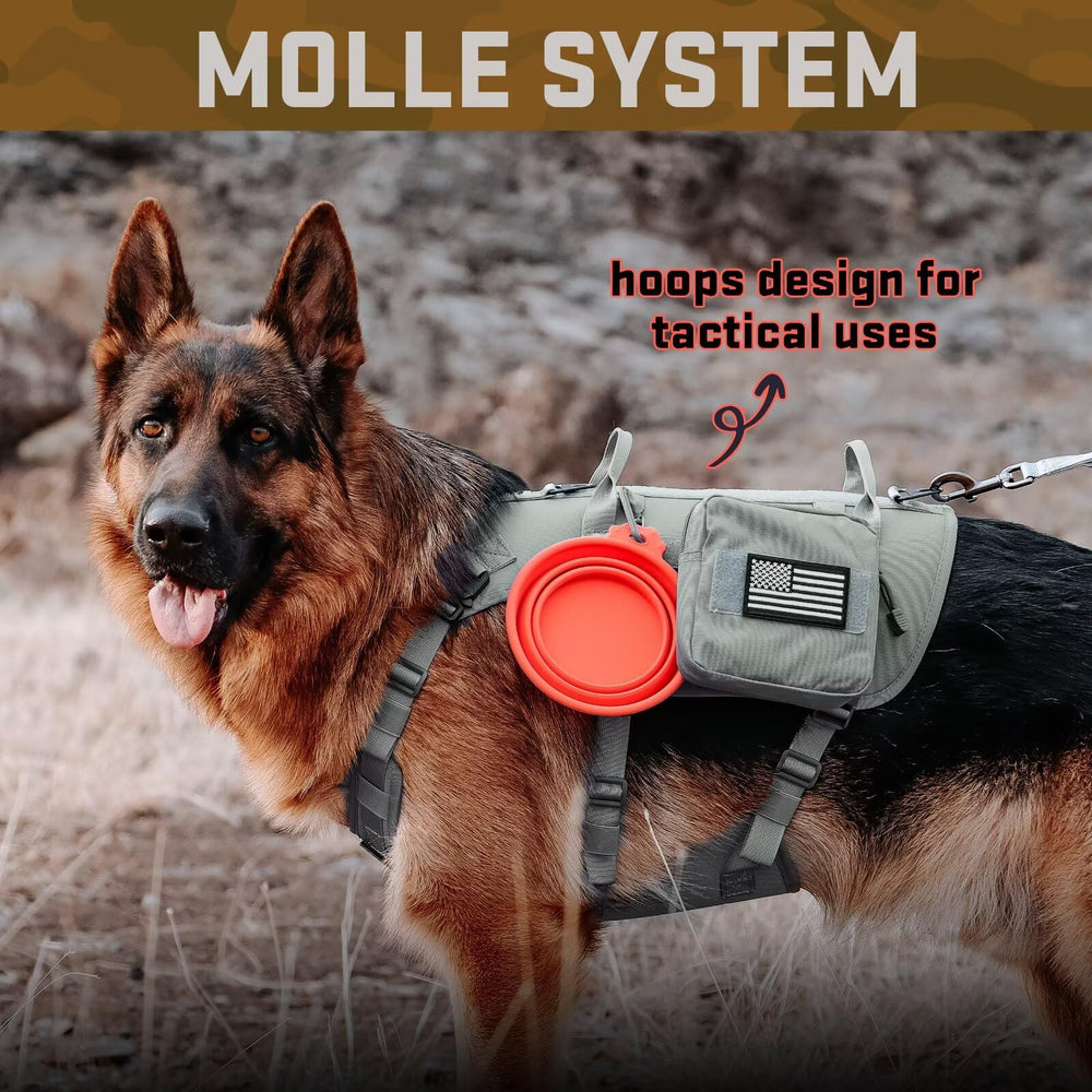 Forestpaw harnais moyen boucles-métal robustes, résistance pour activités exigeantes.