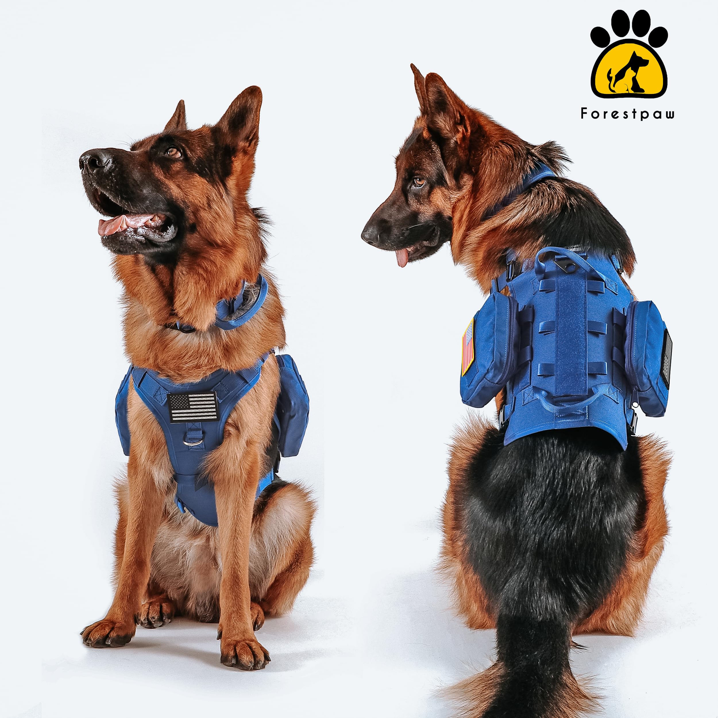 Harnais Forestpaw patches réfléchissants, meilleure visibilité en soirée.
