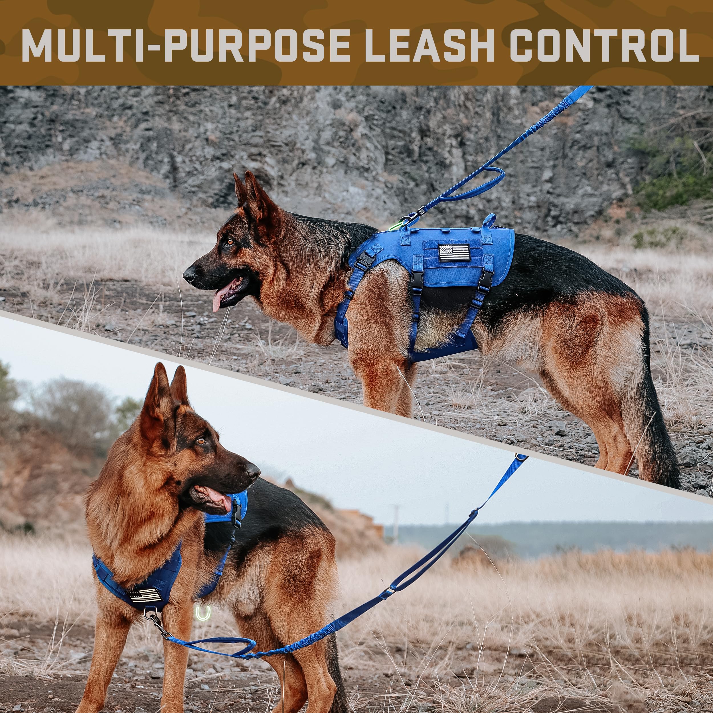 Harnais Forestpaw bleu, adapté pour chiens moyen à grand pour activités quotidiennes.