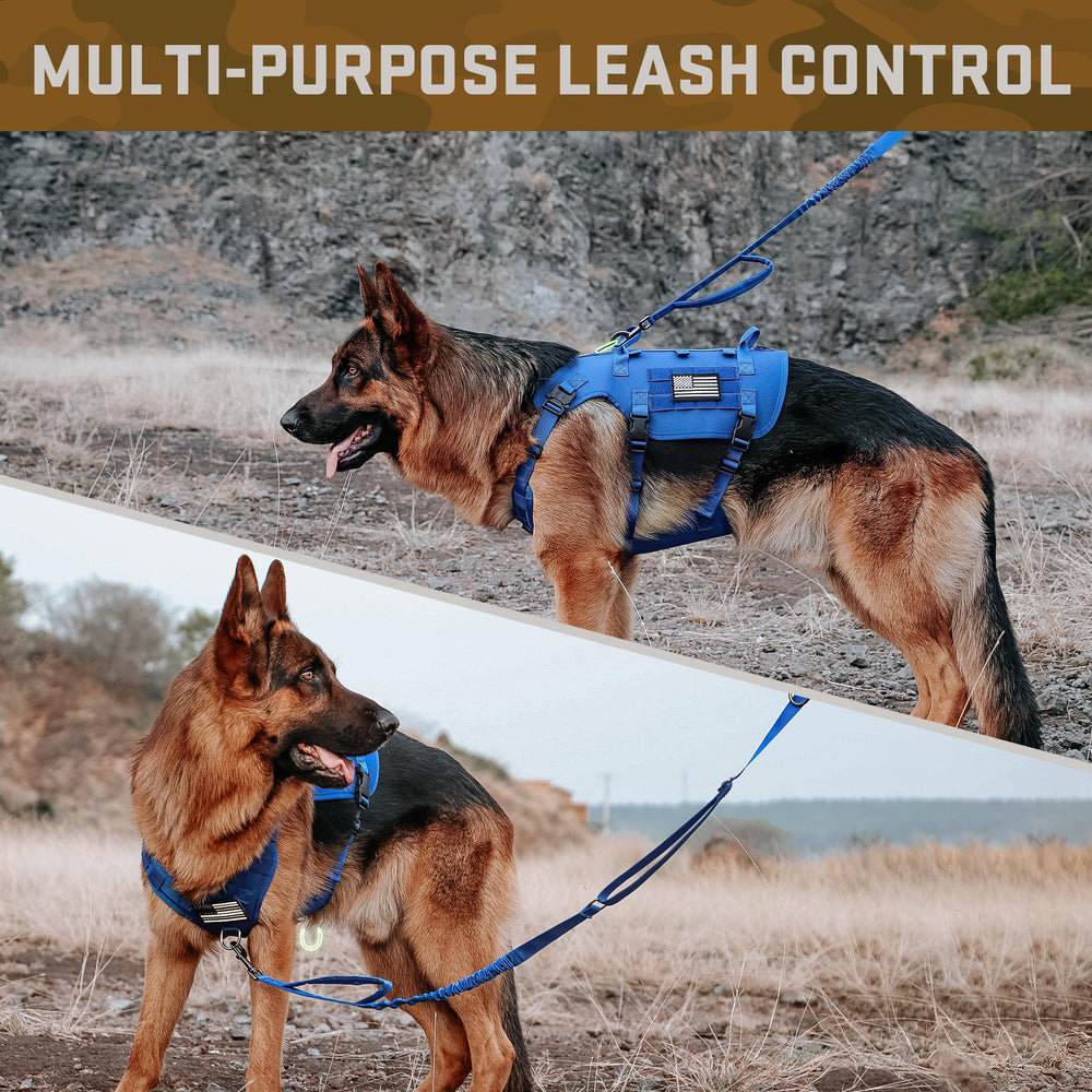 Harnais Forestpaw bleu, adapté pour chiens moyen à grand pour activités quotidiennes.