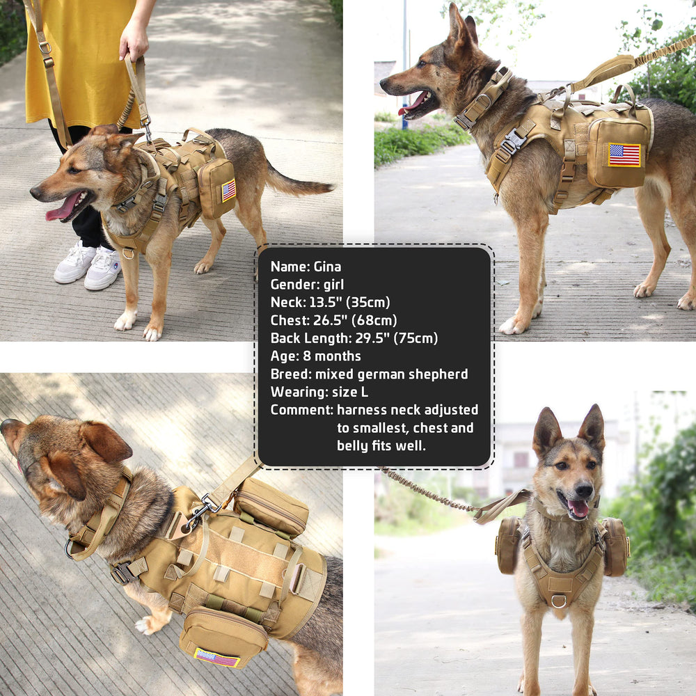 Harnais kaki Forestpaw, design polyvalent pour chiens actifs.