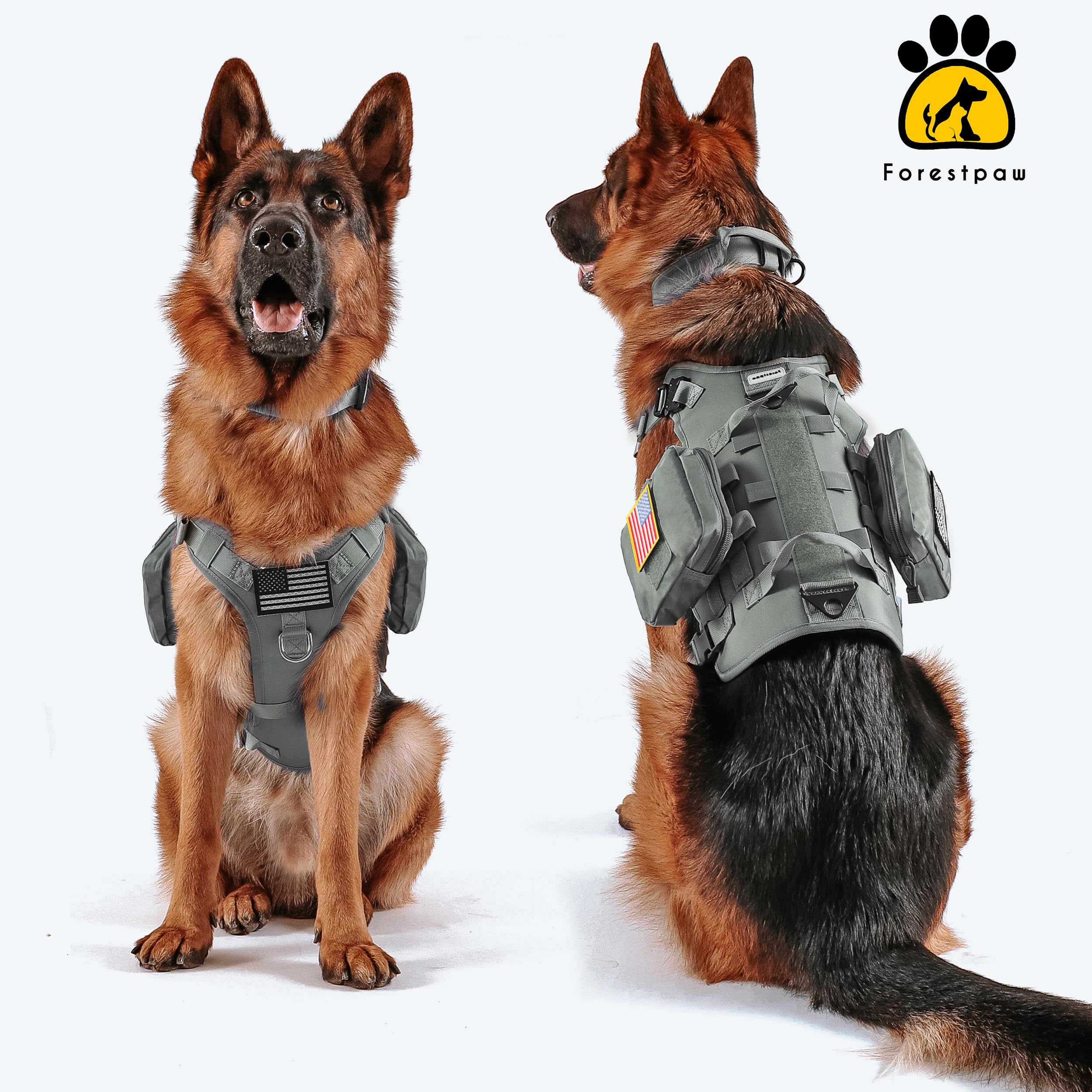 Patch réfléchissant Forestpaw, visibilité améliorée en faible lumière.