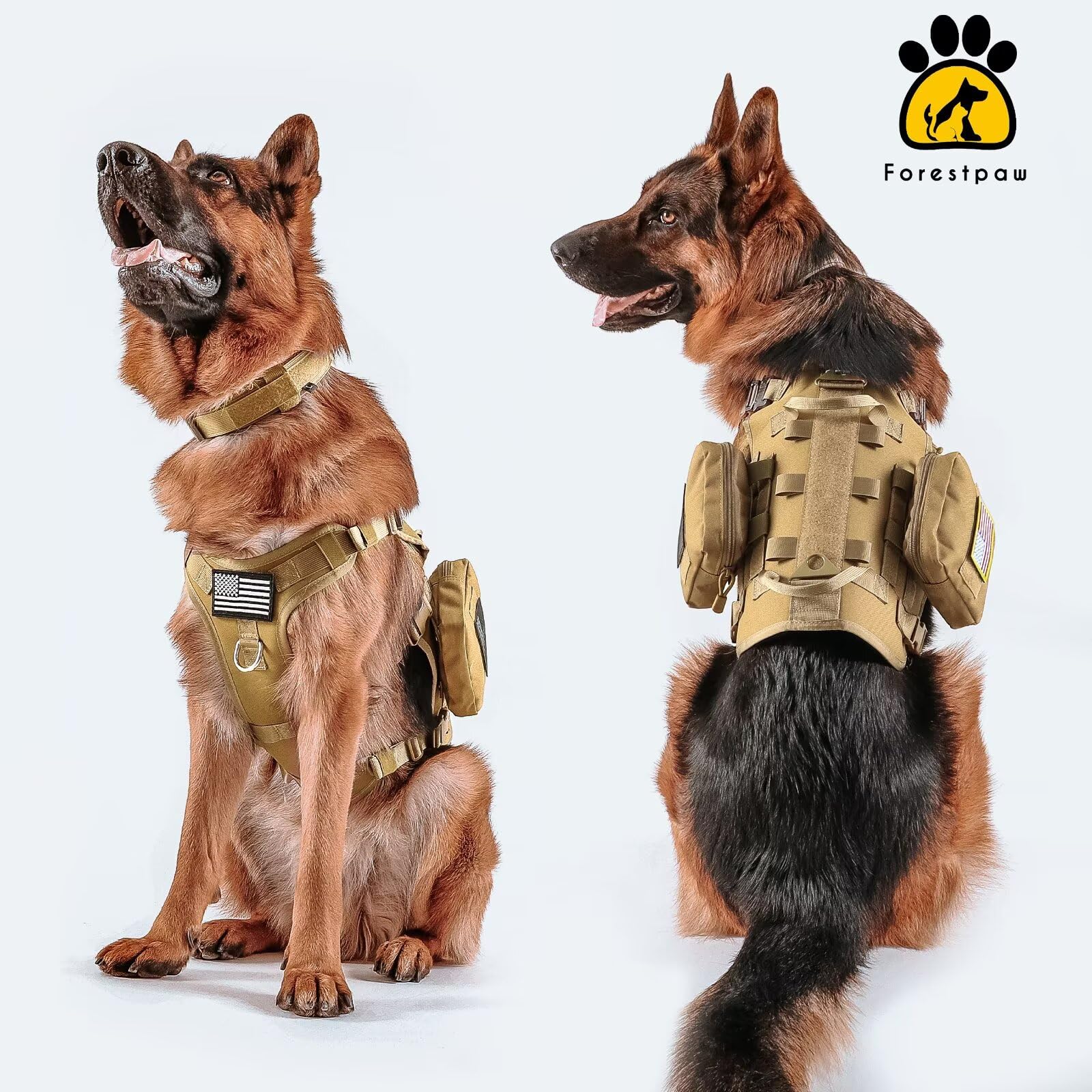 Patches Velcro Forestpaw, personnalisation rapide du harnais.