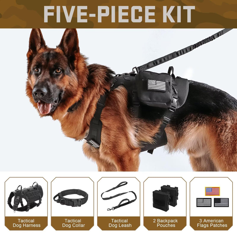Sacs MOLLE Forestpaw pour ranger friandises et accessoires pendant les activités.