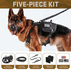 Sacs MOLLE Forestpaw pour ranger friandises et accessoires pendant les activités.