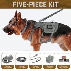 Sacs MOLLE Forestpaw, rangements pratiques pour accessoires et friandises.
