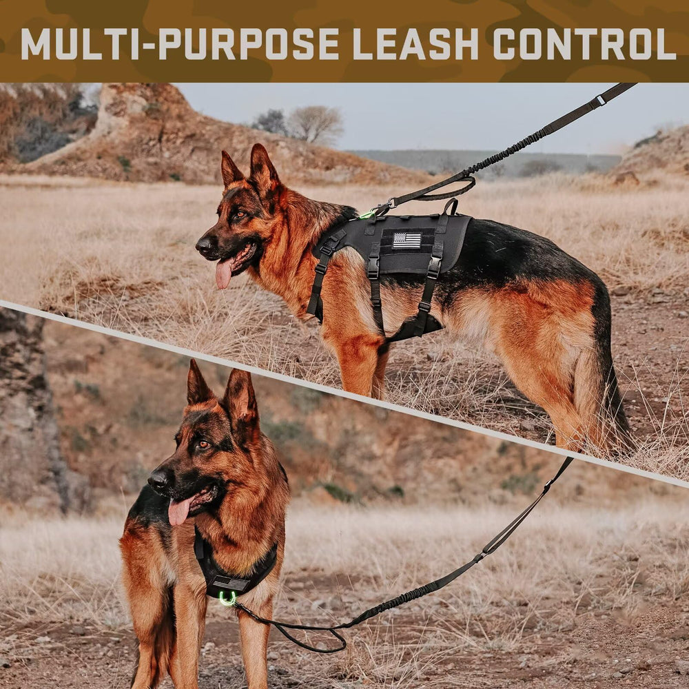 Système MOLLE Forestpaw pour attacher équipements et patches.