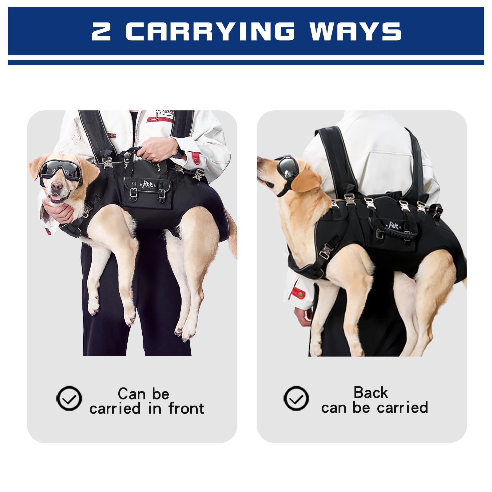 Forever Caring Together guide-tailles-chien: sélection précise pour un ajustement optimal.