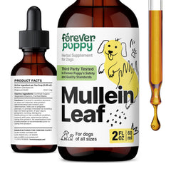 Forever Puppy gouttes mullein – bouteille prête à l'emploi pour soutenir la respiration du chien.