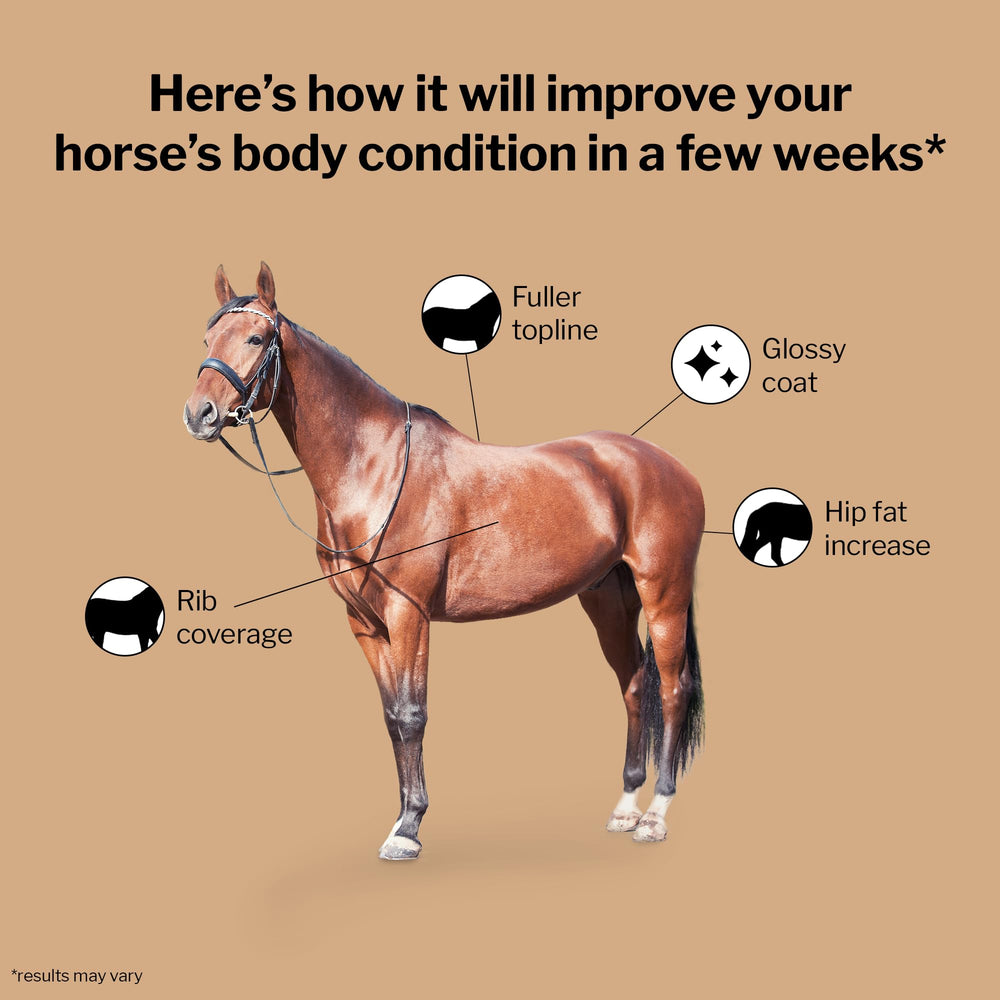Formula 707 énergie et protéines pour cheval et développement musculaire.