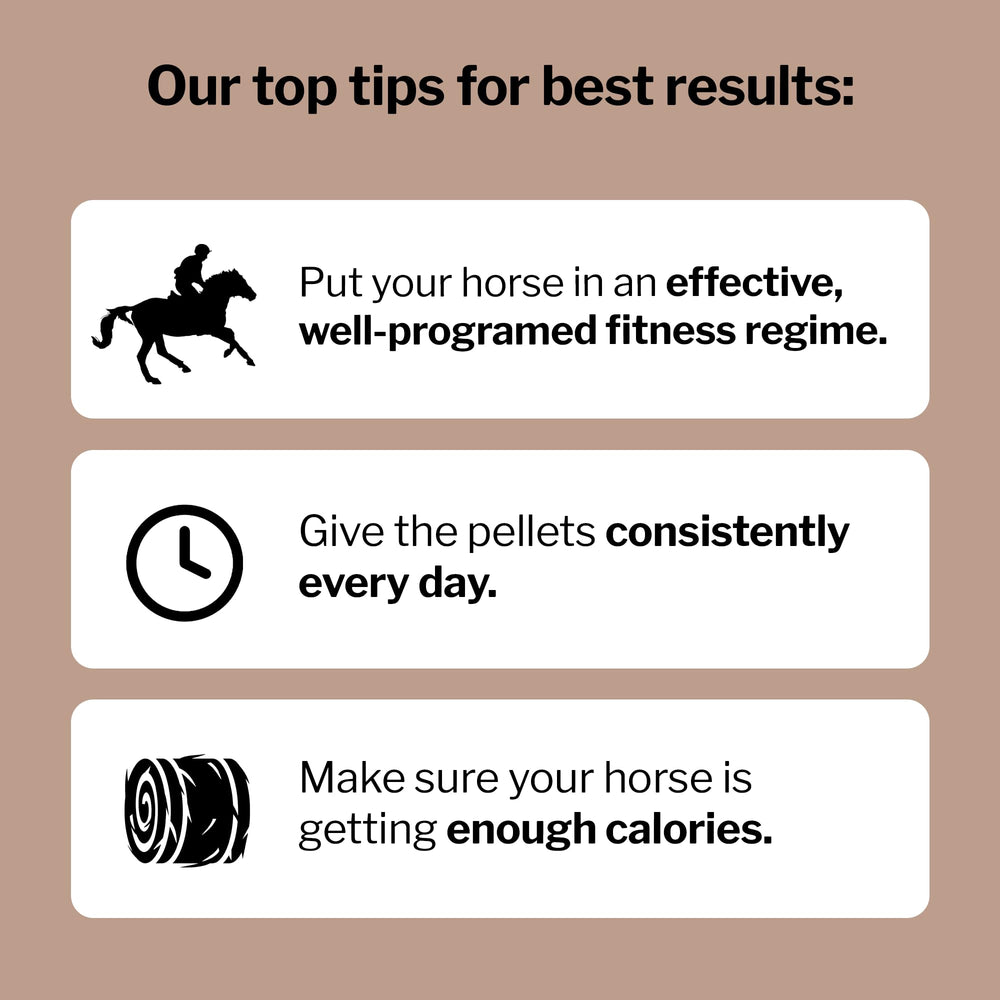Formula 707 MuscleMx OKG - soutien métabolique potentiel pour le cheval.