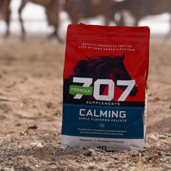 Formula 707 scène d'entraînement, cheval calme et concentré pendant l'effort.