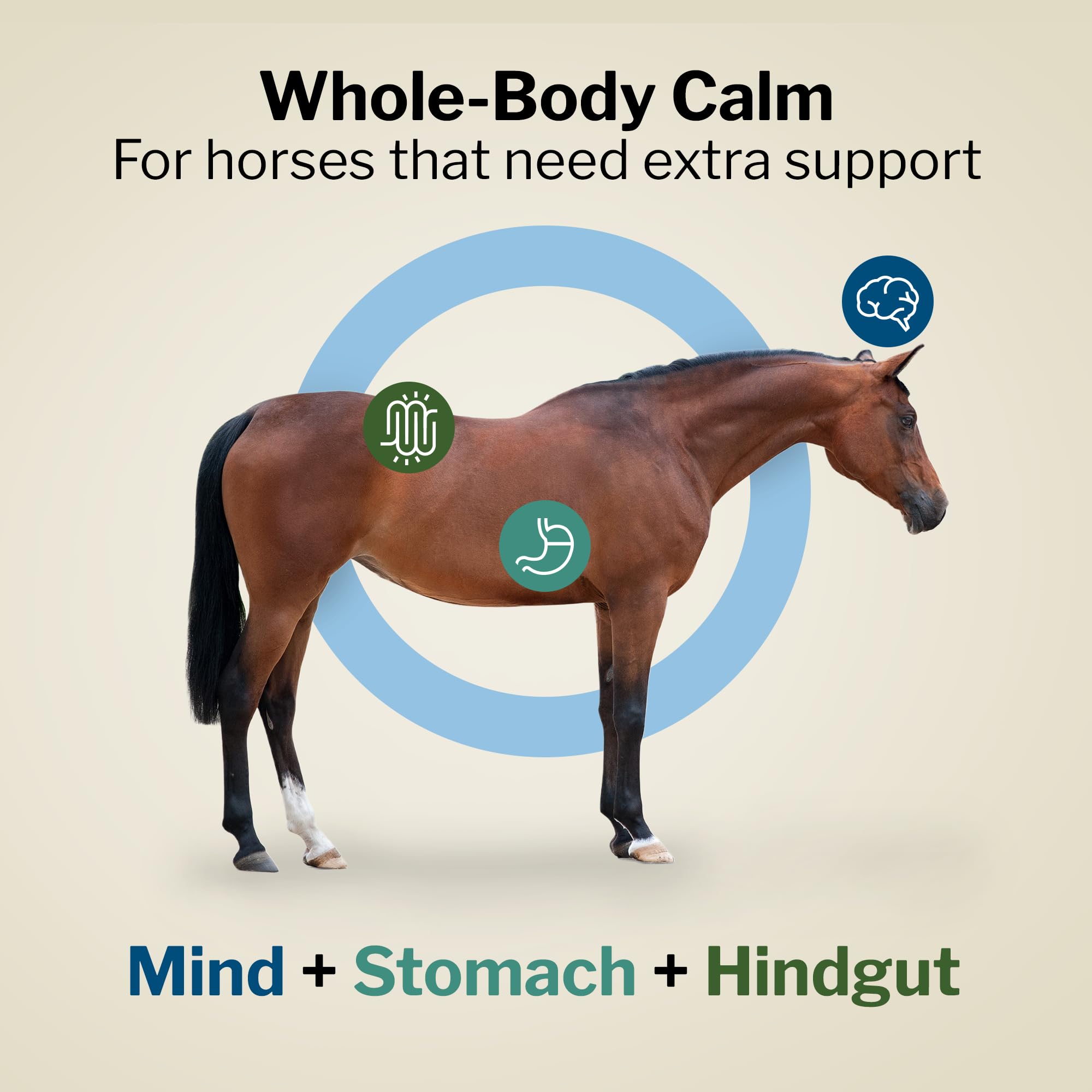 Formule 707 Support Pro — boîte 28 doses, soutien digestif quotidien pour cheval.