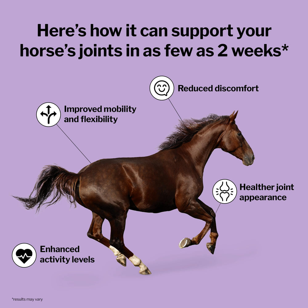 Formula 707 – cheval mobile avec 6en1, pellets faciles à donner.
