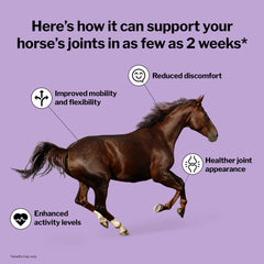 Formula 707 – cheval mobile avec 6en1, pellets faciles à donner.