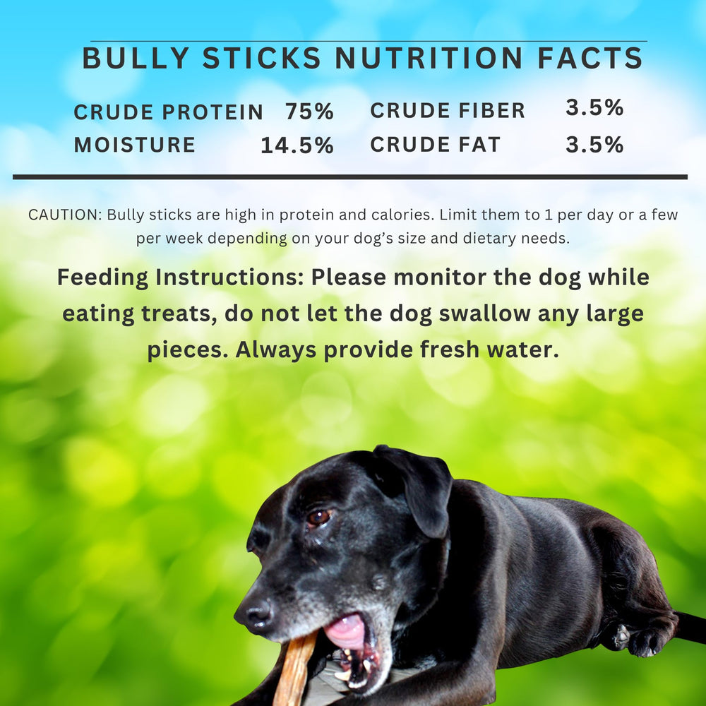 forPups bâtons de boeuf réguliers, 6 pouces, snack digestible et sain.