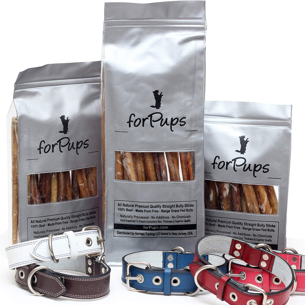 forPups paquet 2 lb avec 46–52 bâtons en moyenne, pratique pour rotation.