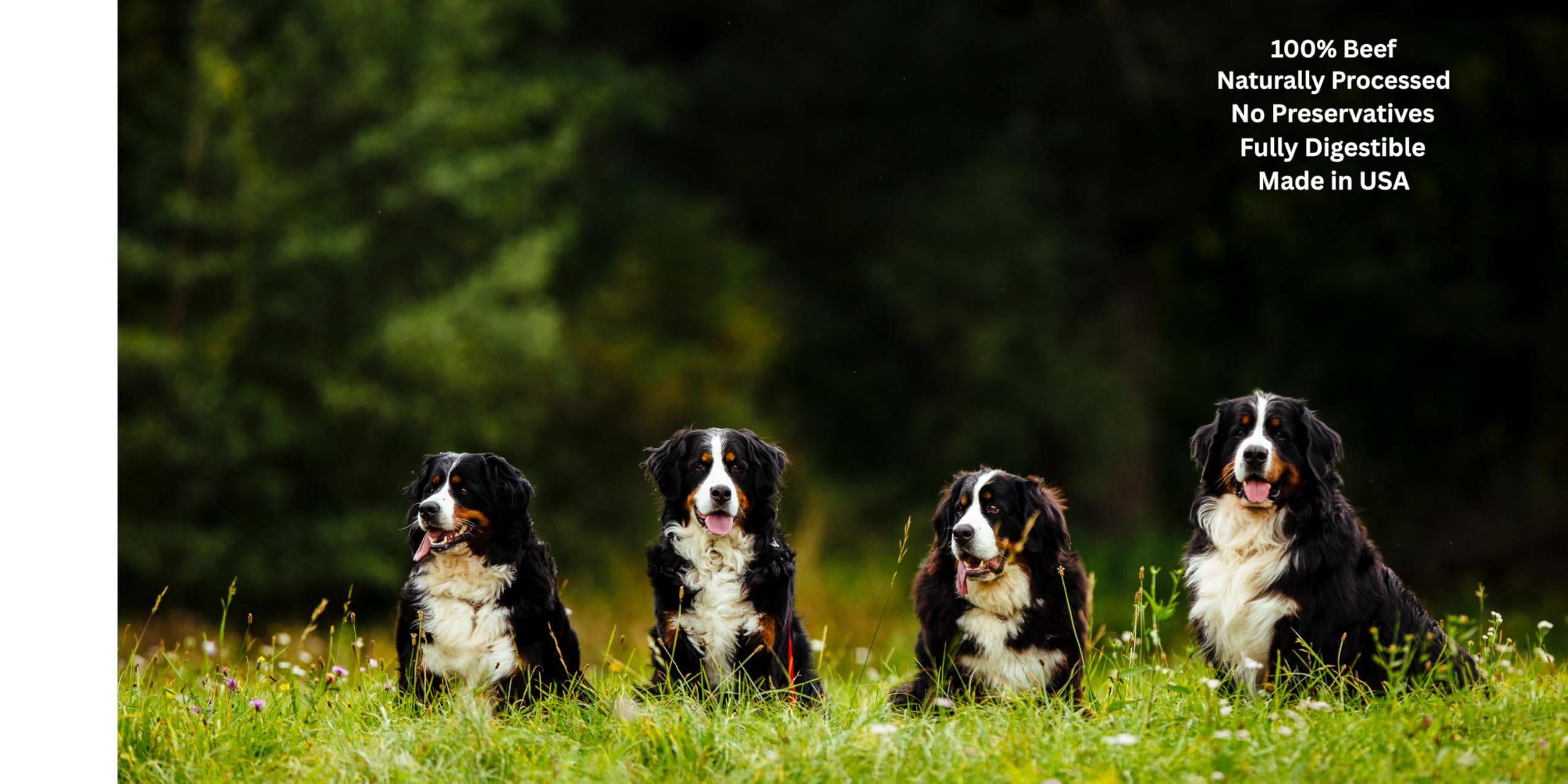 forPups Bâtonnets Bully sans-additifs, option naturelle et sûre pour chiens gourmands
