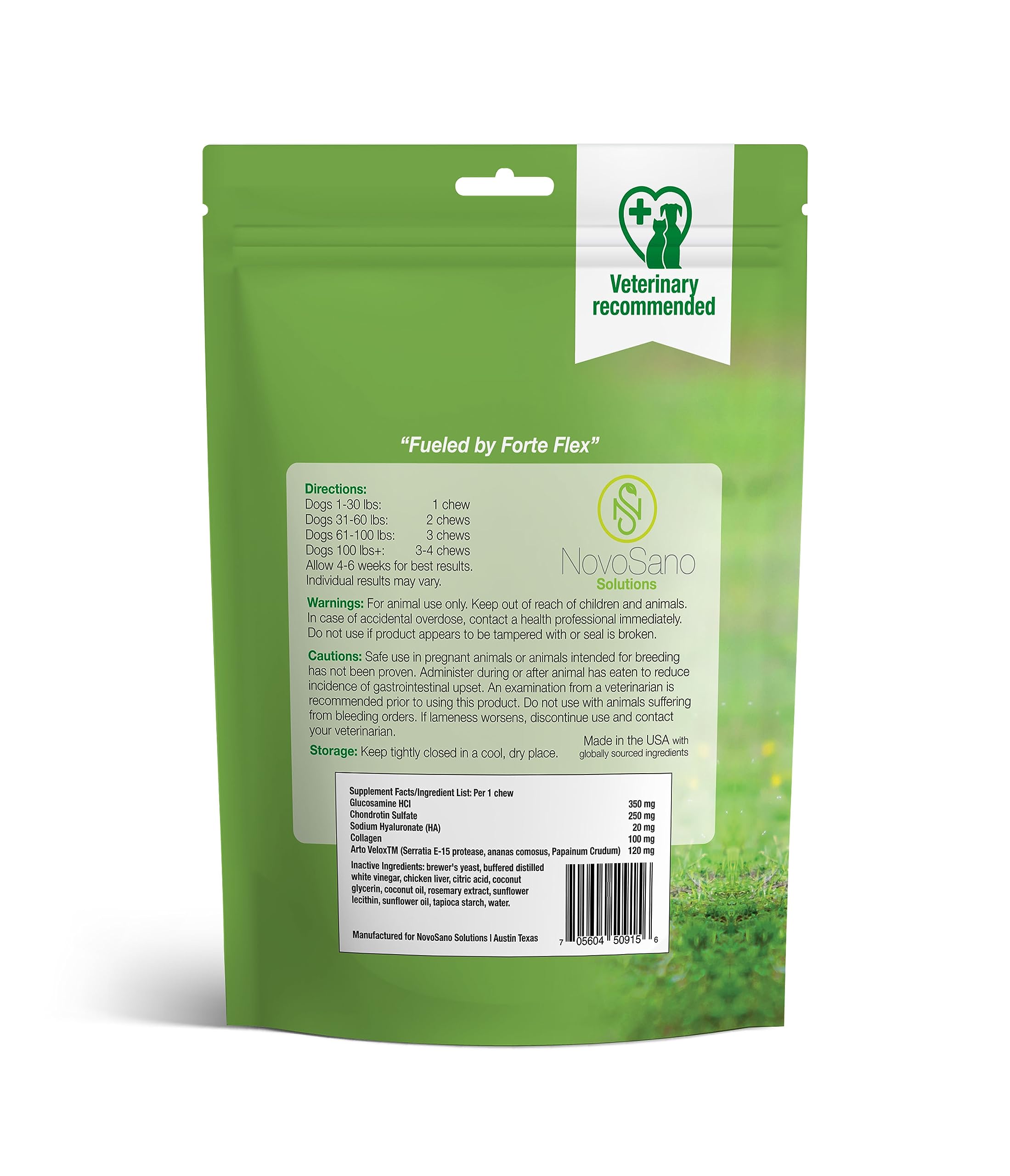 Chien actif en mouvement avec Forte Flex K9.