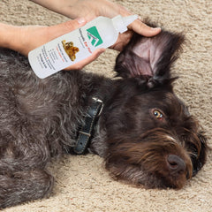 Forticept applicateur oreilles chat: application simple pour chiens et chats.
