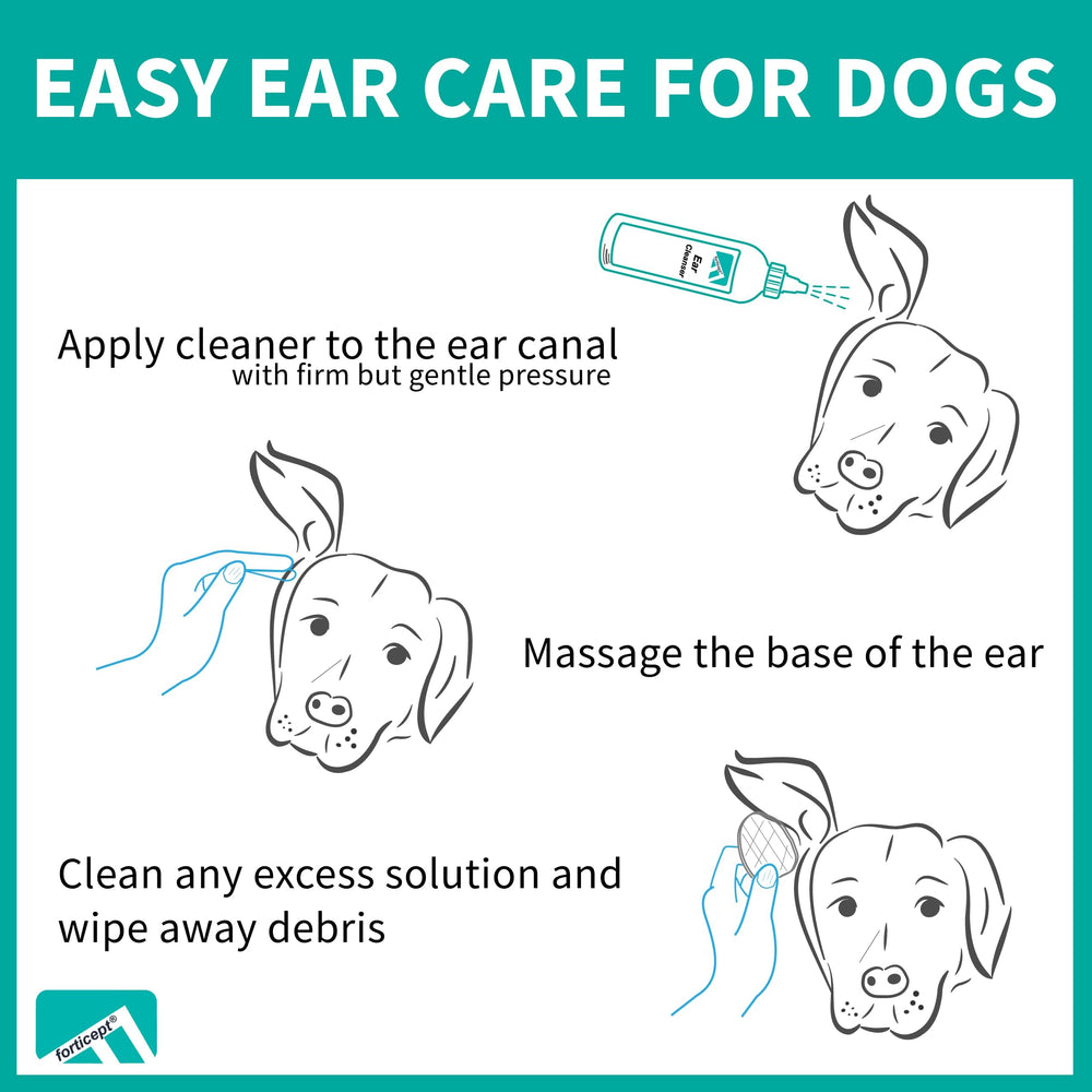 Forticept applicateur oreilles chien: utilisation rapide pour chiens.