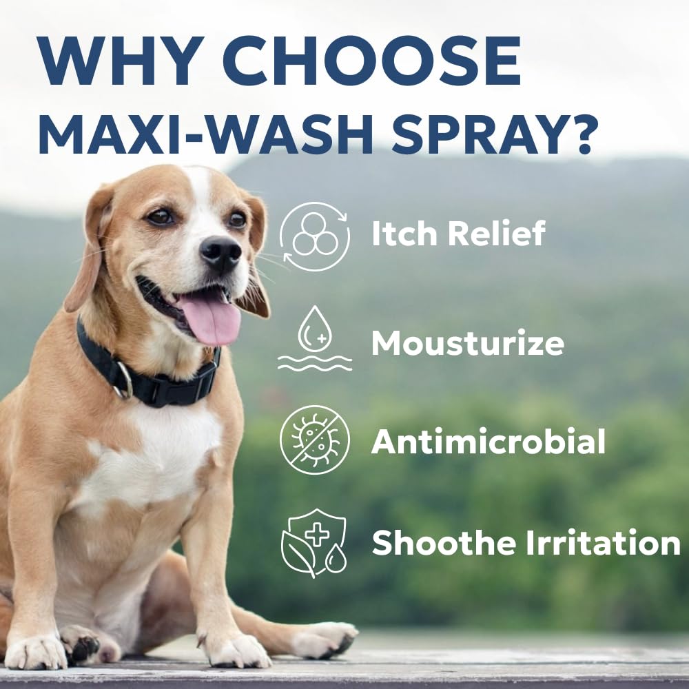 Forticept Maxi-Wash sans alcool, sans piqûre ni brûlure lors de l’application