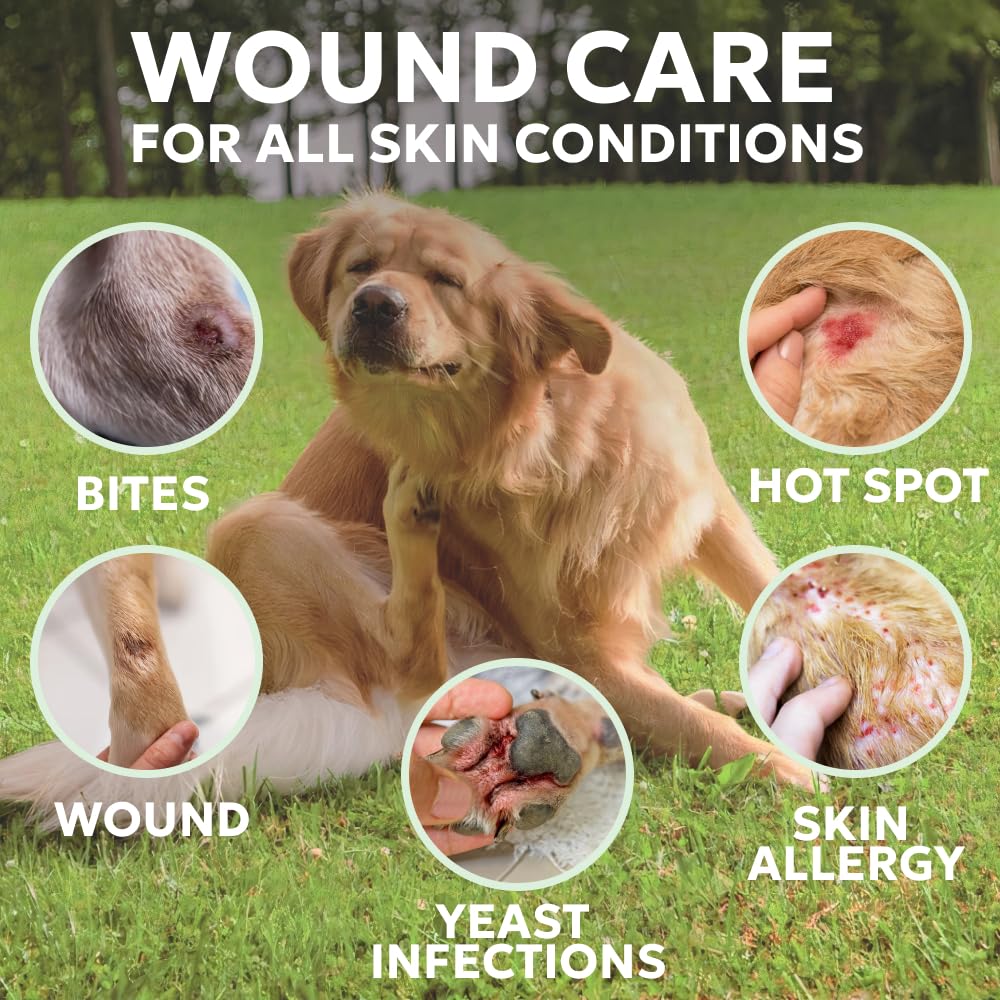 Chien recevant Forticept pour irritations localisées.