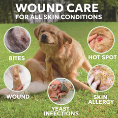 Chien recevant Forticept pour irritations localisées.