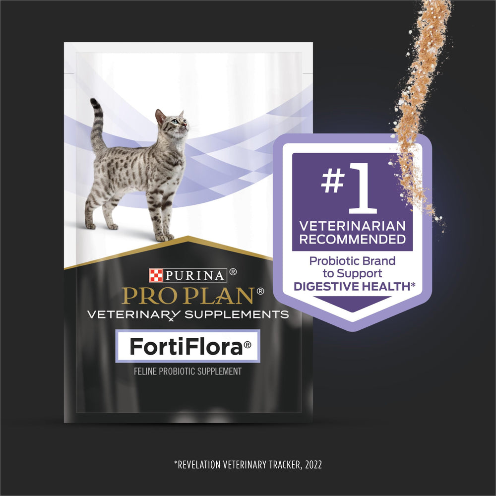 Chat prêt à manger avec FortiFlora ajouté à son bol.