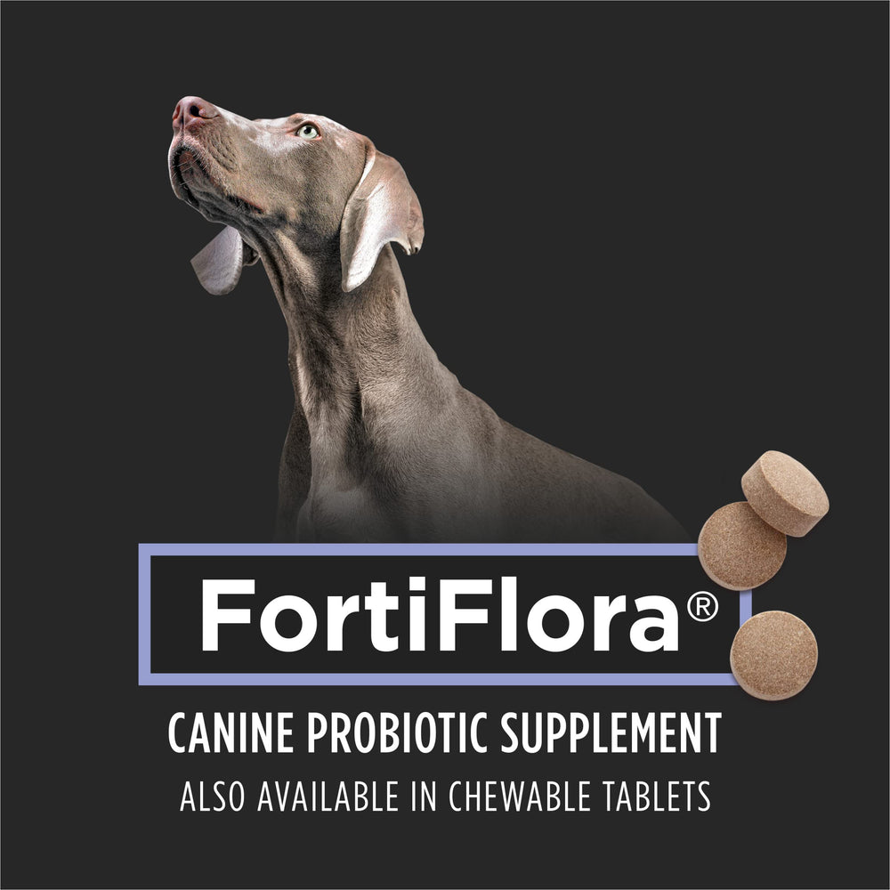 FortiFlora convient chiots et adultes, gestion diététique éventuelle de la diarrhée.