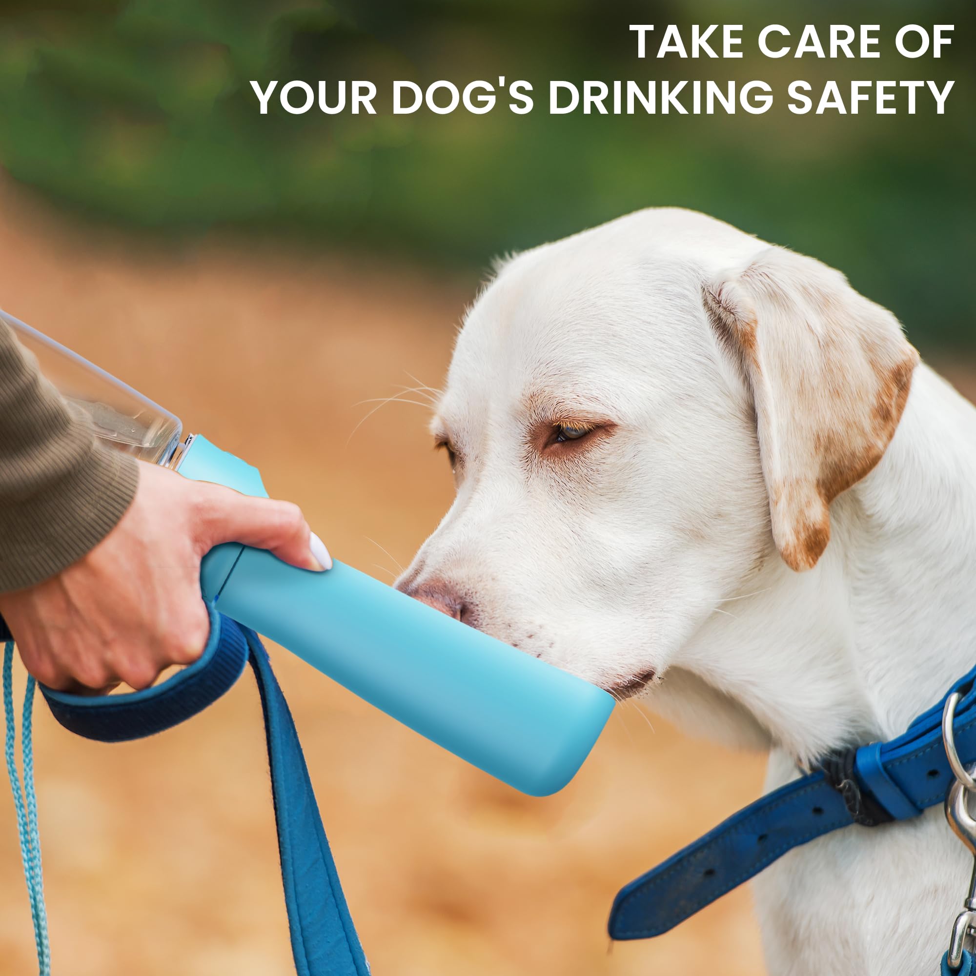 FORWH gourde eau chien pour activités plein air.