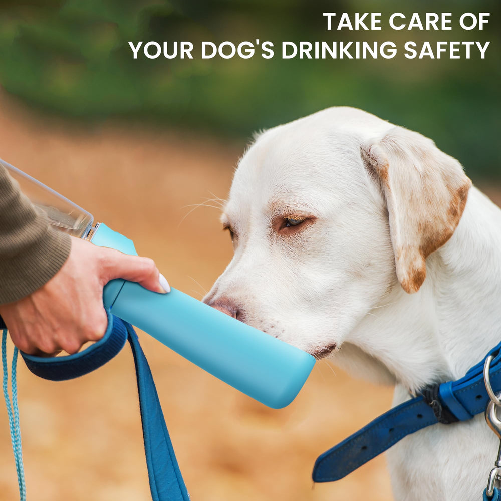 FORWH gourde eau chien pour activités plein air.