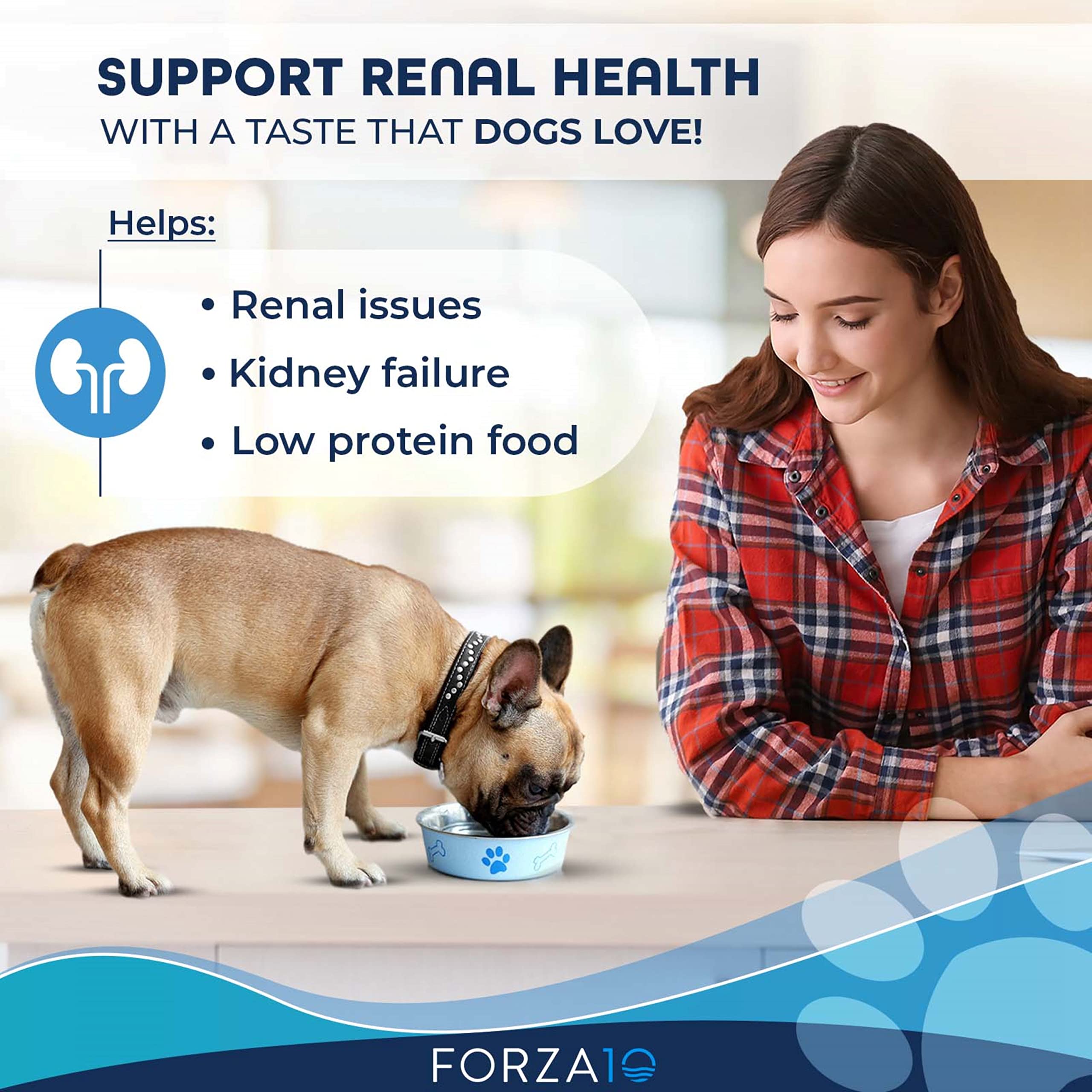 Forza10 boites chien humide agneau-lot12: repas pratique et appétissant pour chiens.