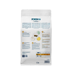 Forza10 Chat – emballage italien, design premium et qualité assurée.