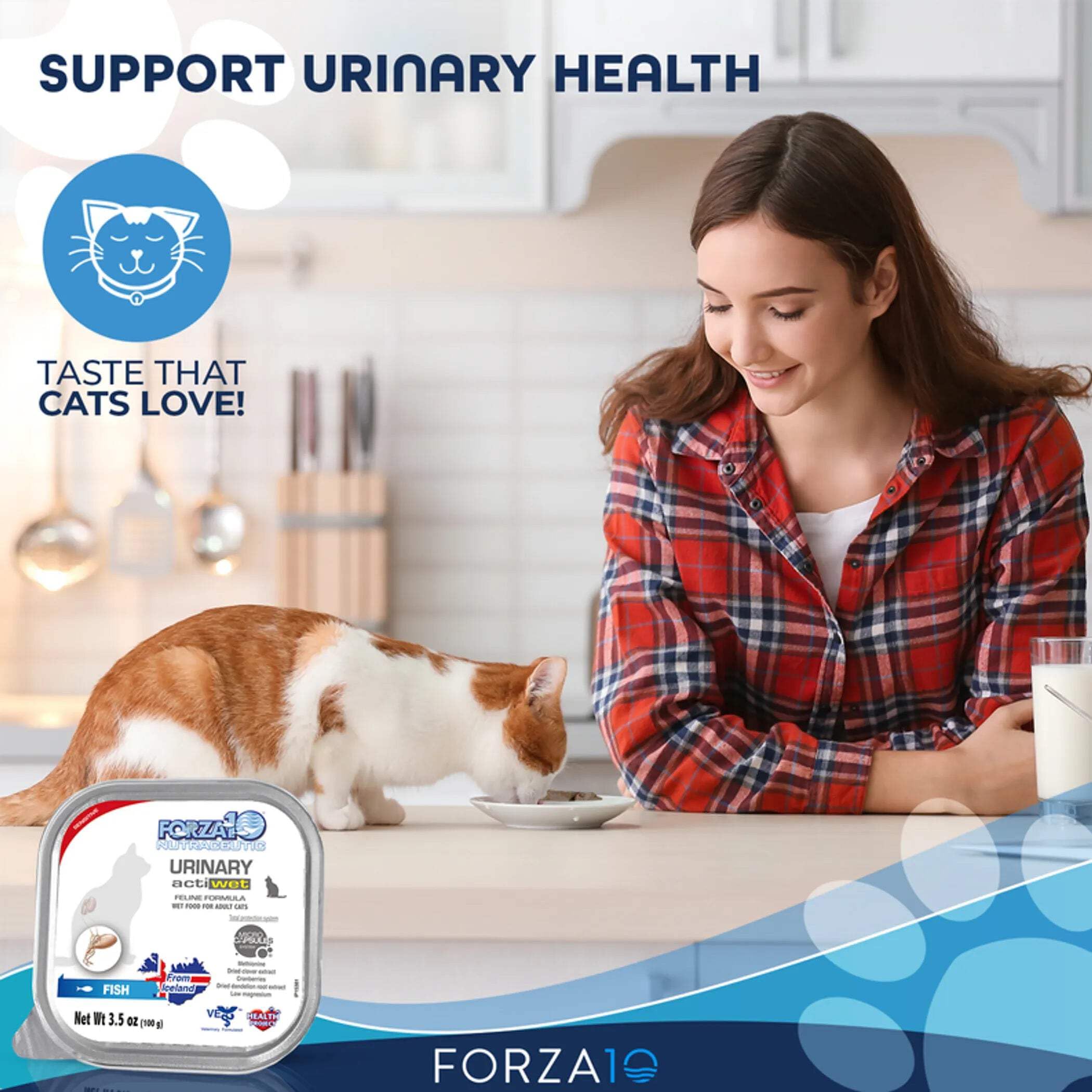 Forza10 Chat Saumon texture humide appétissante pour repas quotidien.
