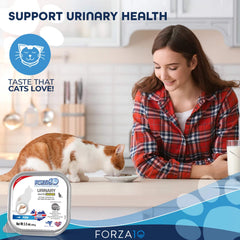 Forza10 Chat Saumon texture humide appétissante pour repas quotidien.