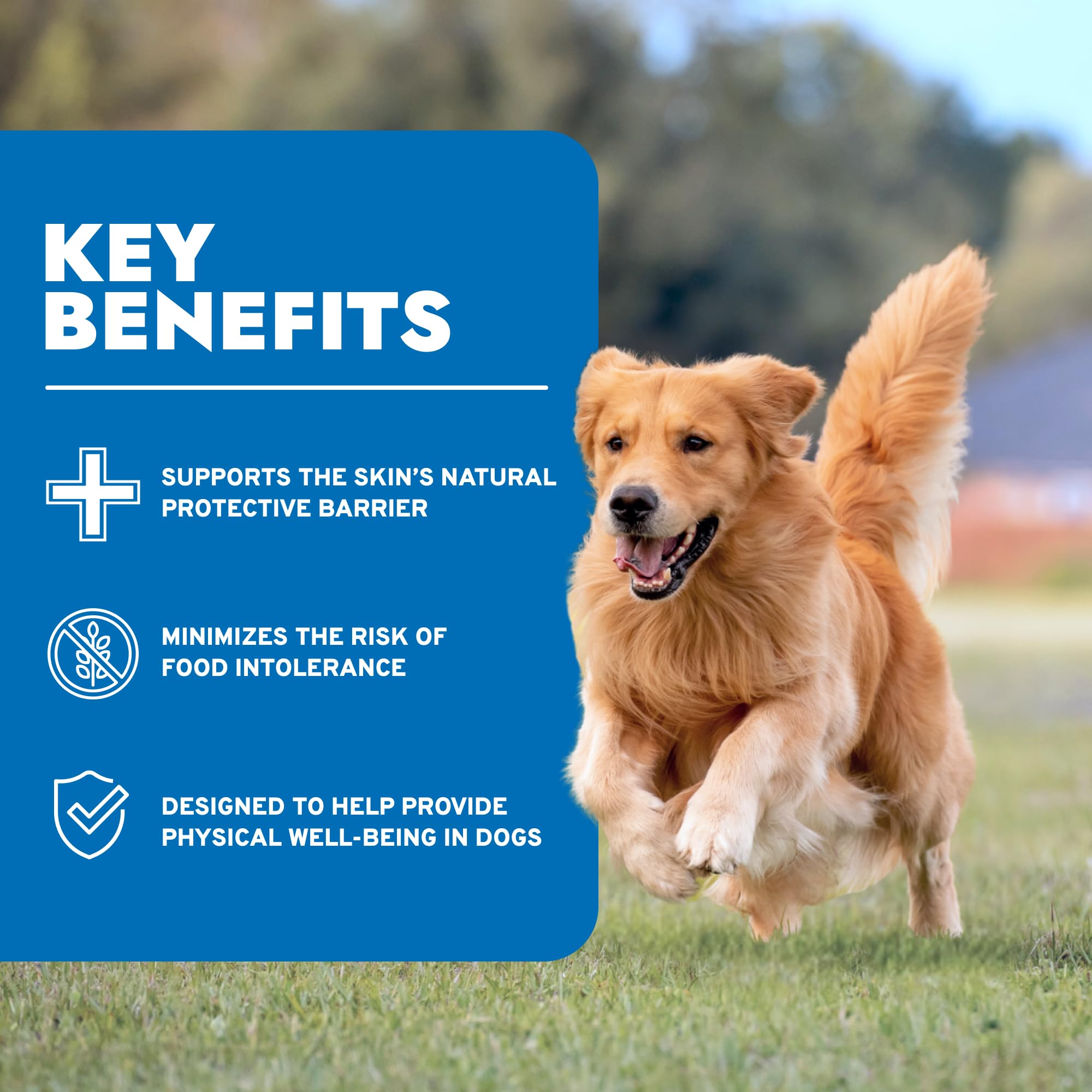Forza10 étiquette indiquant ingrédients naturels pour chien.
