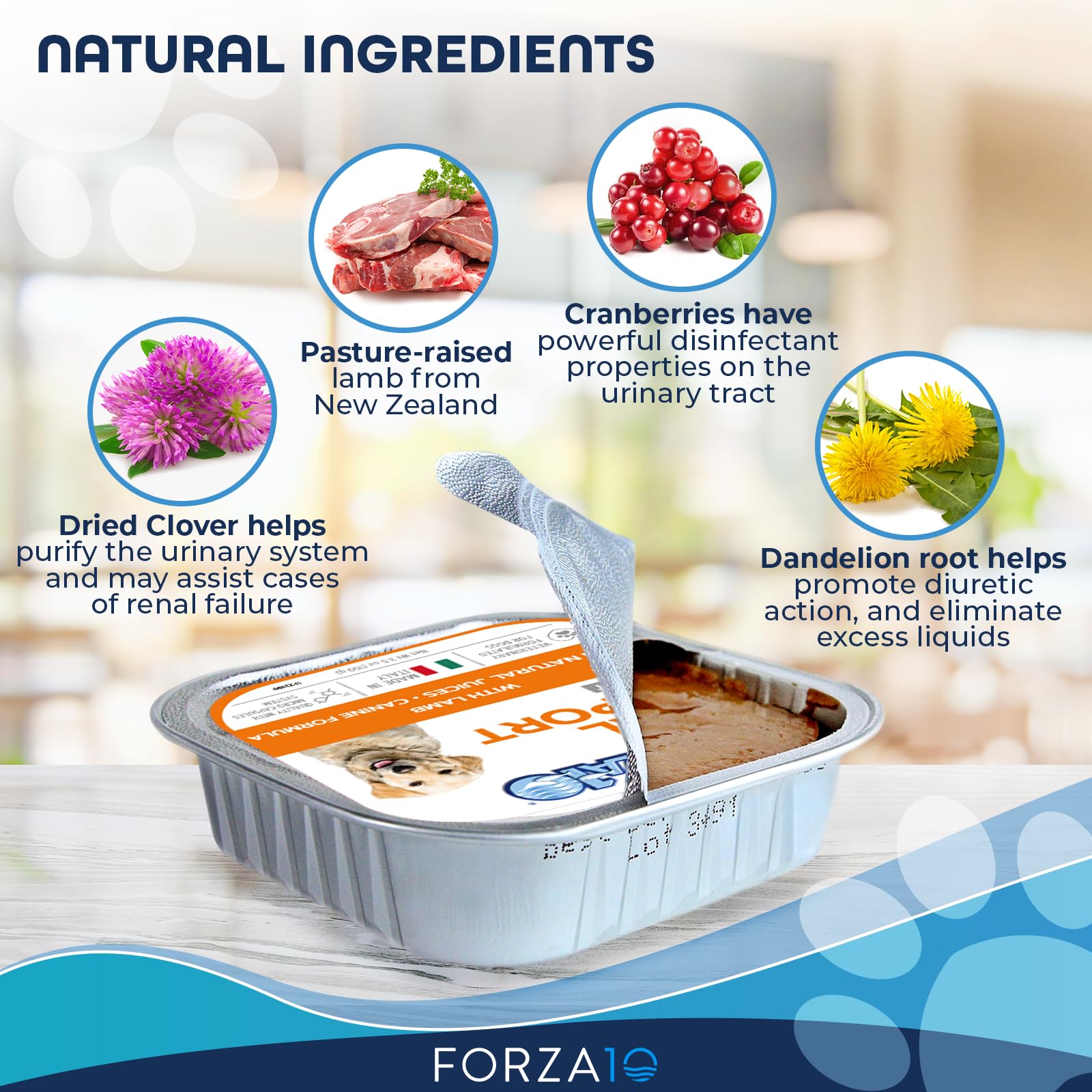 Forza10 proteine hydrolysee chien: réduction possible des sensibilités alimentaires.