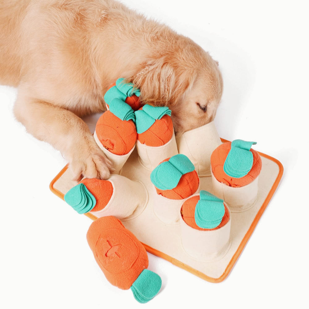 Fossa-tapis-puzzle-gourmand: stimule mentalement votre chien grâce aux friandises.