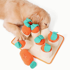 Fossa-tapis-puzzle-gourmand: stimule mentalement votre chien grâce aux friandises.
