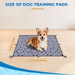 Structure à quatre couches Fostanfly, absorbante et douce pour chien.