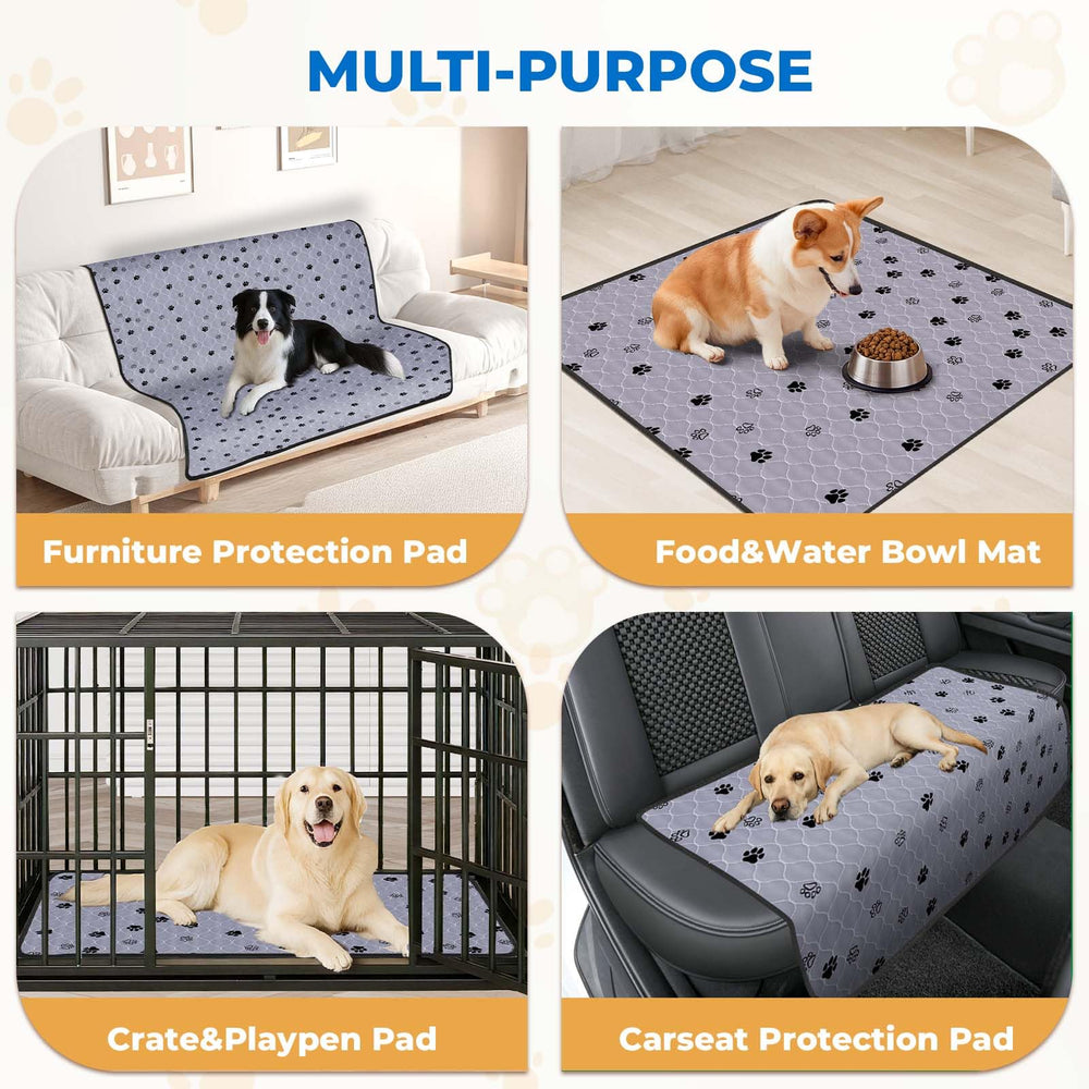 Fostanfly tapis avec huit attaches pour fixation sécurisée.