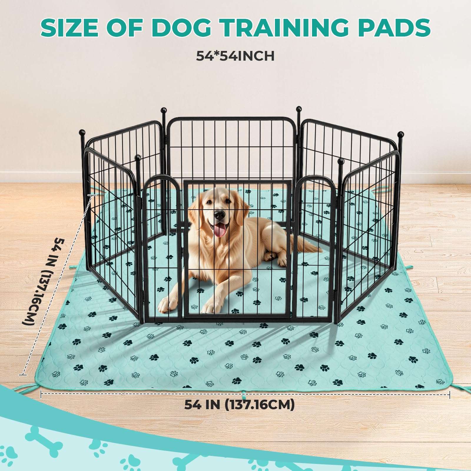 Tapis-pipi Fostanfly pour chat, surface généreuse et pratique
