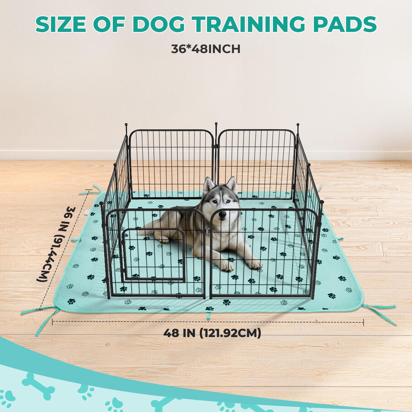 Tapis potty Fostanfly ultra‑absorbant capture rapidement l’urine.
