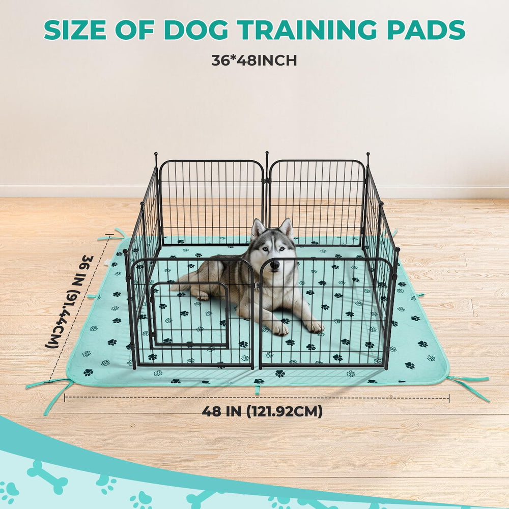 Tapis potty Fostanfly ultra‑absorbant capture rapidement l’urine.