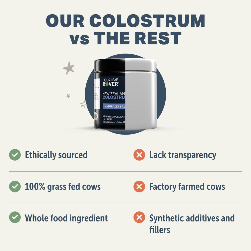 FOUR LEAF ROVER Colostrum - chien en mouvement, bénéfice potentiel pour le bien-être.