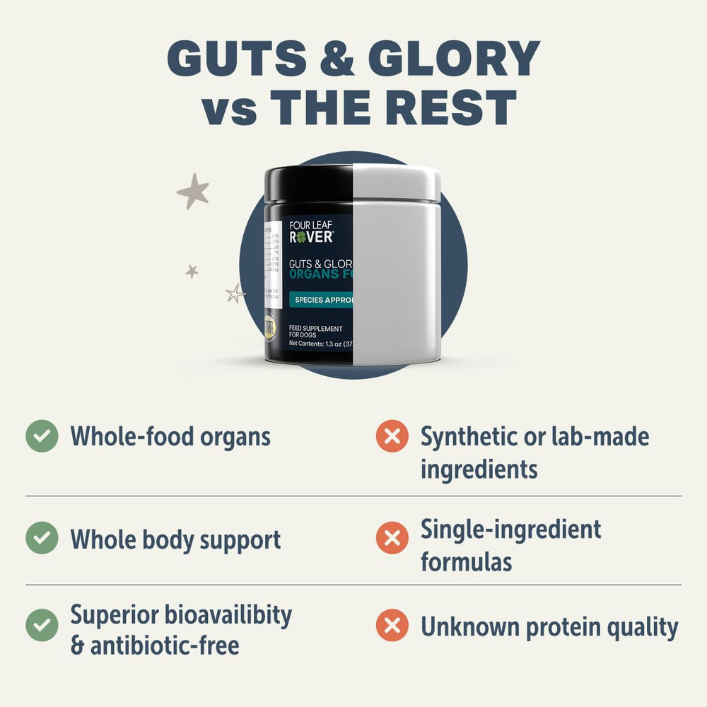 Four Leaf Rover Guts & Glory pancréas : supports enzymatiques potentiels pour une digestion équilibrée.