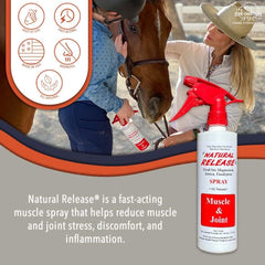 Four Oaks Farm Ventures liniment cheval arnica et eucalyptus, application ciblée sur les zones sensibles.