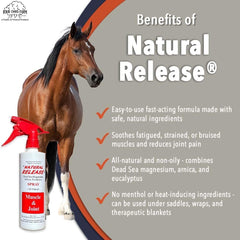 Four Oaks Farm Ventures liniment cheval sans menthol, usage sûr sous selle.