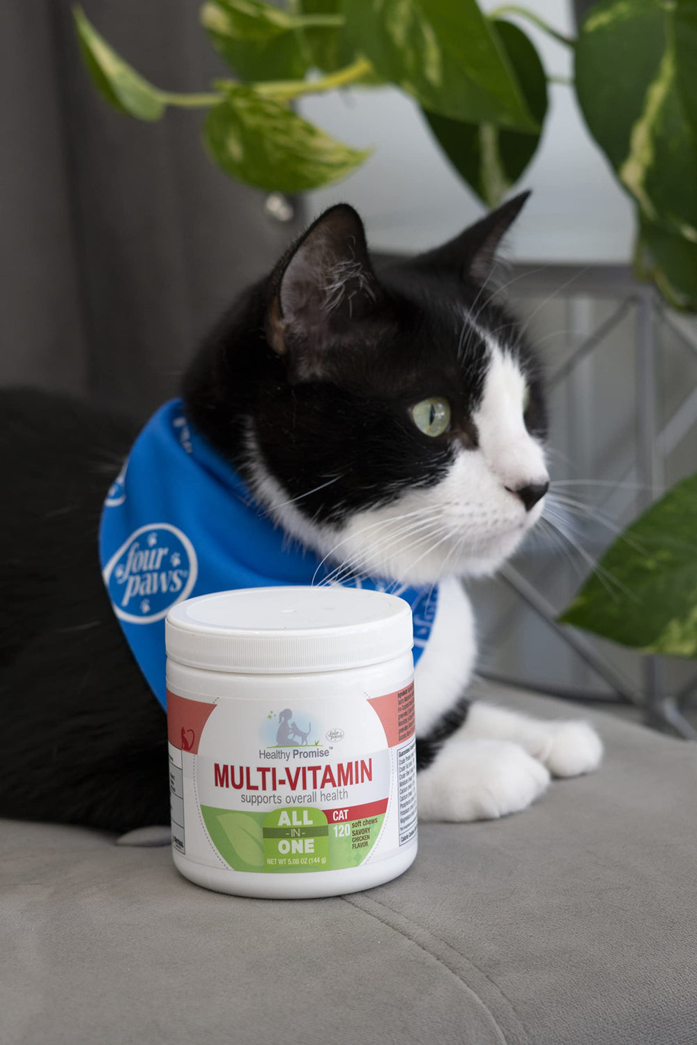 Four Paws Healthy Promise chat, friables-poulet, goût attractif.
